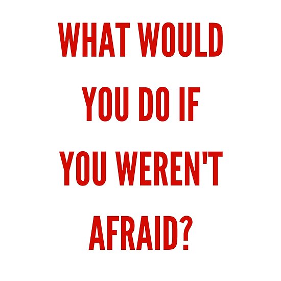 What Would You Do If You Werent Afraid Poster By Itsmegnguyen Redbubble 8700