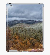 Storm On The Mountain iPad Case/Skin