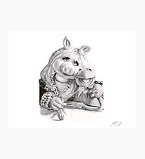 Kermit and Miss Piggy - Ballpoint Pen Photographic Print
