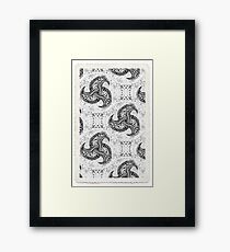 ZS Zenta 007A© Framed Print