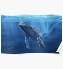 Whale Poster