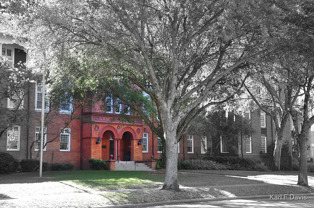 " Elizabeth Hall Stetson University, Deland, Florida " by Karl F