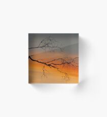 The Rich Summer Sun Acrylic Block