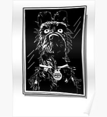 Pro Dog isle of dogs Poster