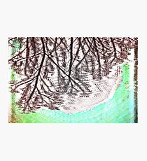 A Glitch in the Forest Photographic Print