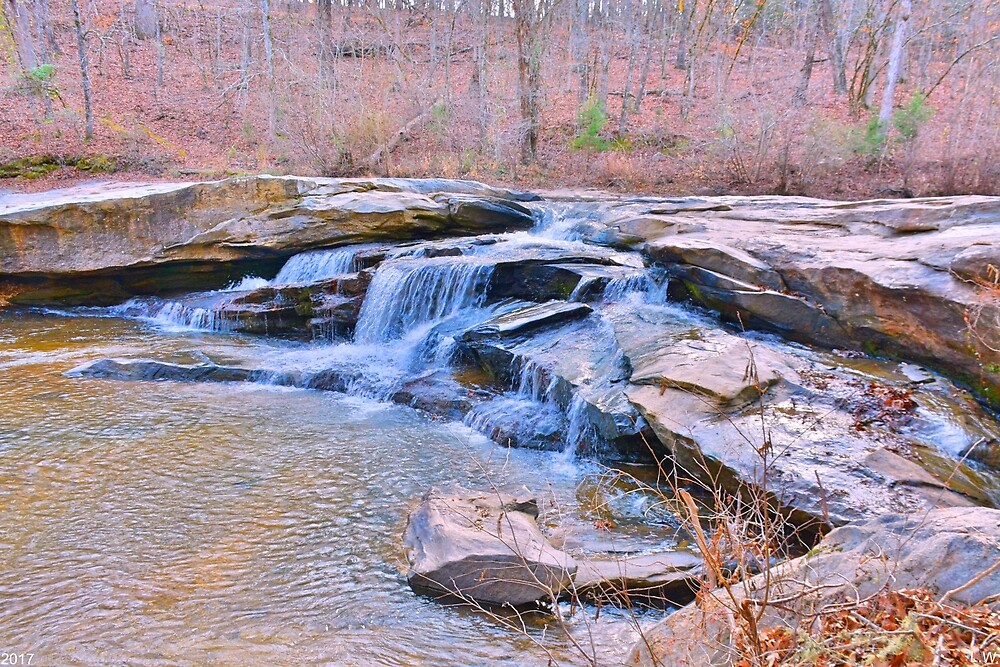 "Horseshoe Falls At Musgrove Mill Historic Site" by LisaWootenPhoto