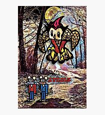 The Owl Photographic Print
