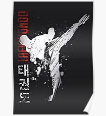 Taekwondo Poster