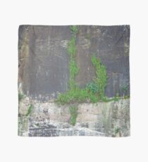 Rock wall texture Scarf