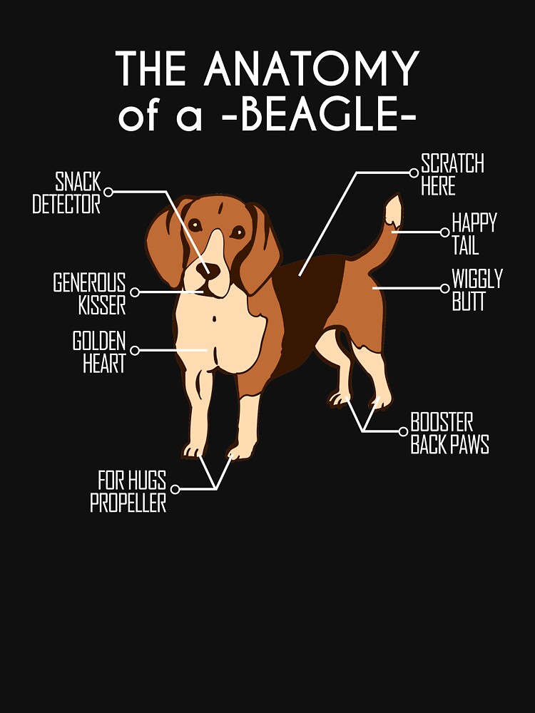 anatomy of a beagle shirt