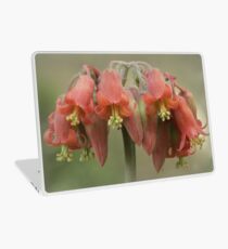 Cotyledon flower Laptop Skin