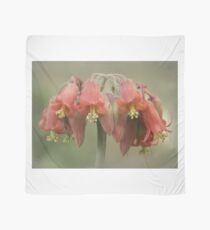 Cotyledon flower Scarf