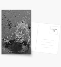 Sploosh Postcards