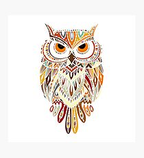 Owl Photographic Print