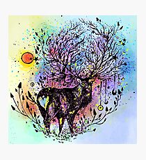 Cosmic Deer Photographic Print