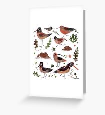 Seabirds Greeting Card