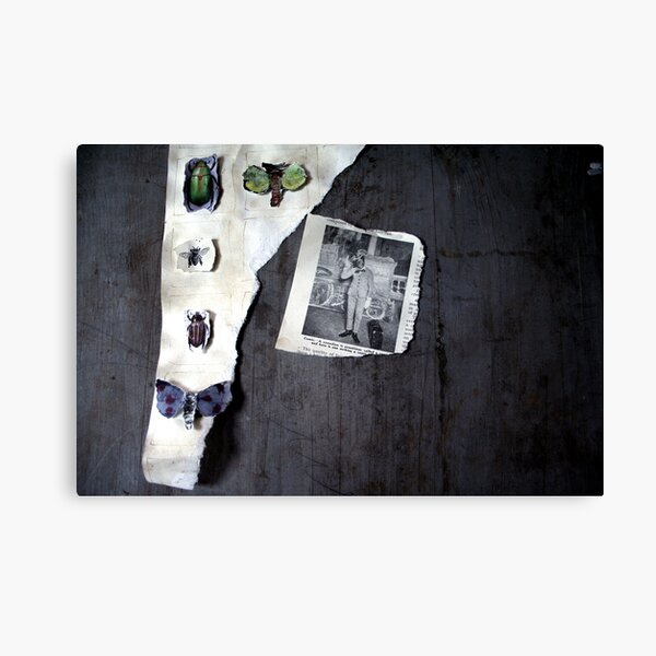 in that house Canvas Print