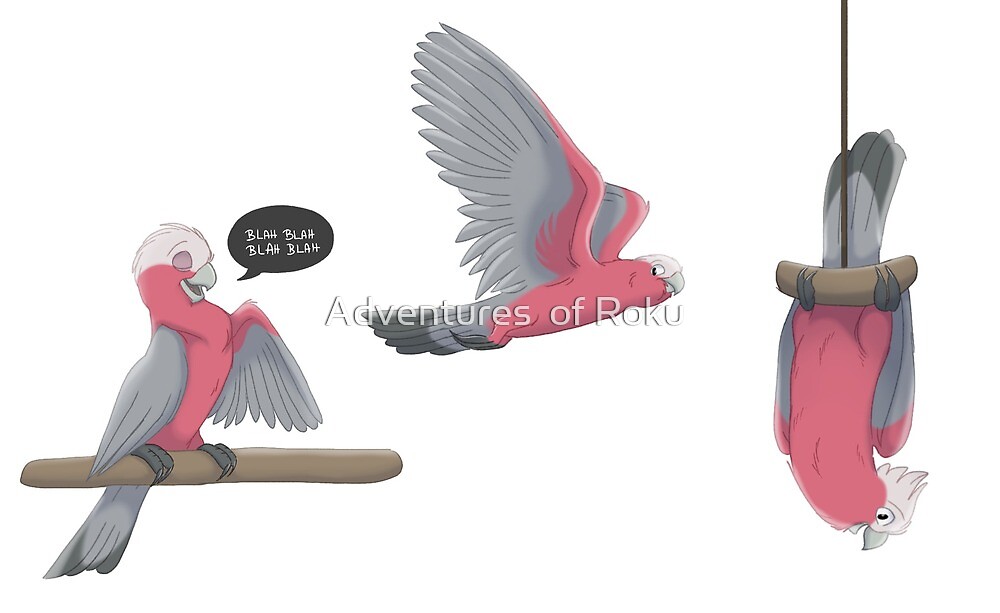 "Galah " by Adventures of Roku | Redbubble