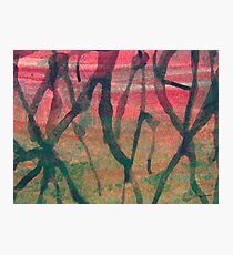 Western Wasteland Photographic Print