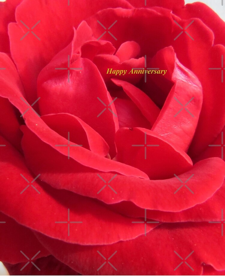 Happy Anniversary Red Rose Ipad Case Skin By Zinastromberg