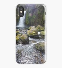 Oregon Waterfall iPhone Case/Skin