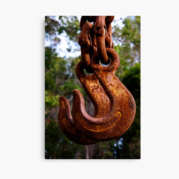 Crane hooks Canvas Print