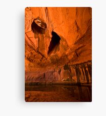 Neon Canyon Canvas Print