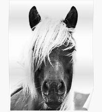 Wilde Pferde, Pferd drucken, Pferd Kunst, Wandkunst, Wanddekoration, Trendy print, Animal print, Interior Poster