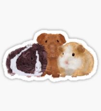 Guinea Pigs Sticker