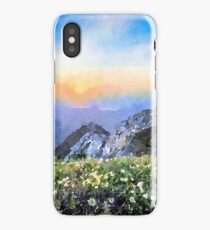 View 2 iPhone Case/Skin