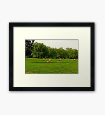 Green Park Lawn Chairs Framed Print