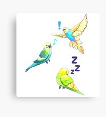 Budgies Digital Watercolour Canvas Print