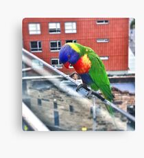 Birdie in Paradise Canvas Print