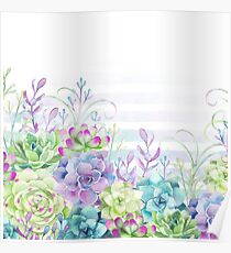 Summer Succulents Poster
