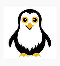 penguin Photographic Print