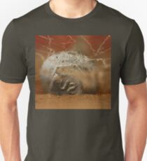 U2 Unisex T-Shirt