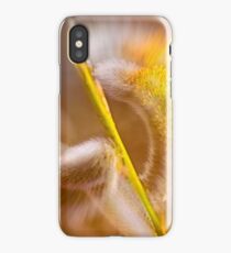 Catkins Bloom 2 iPhone Case/Skin