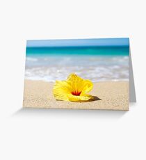 Gelber Sonnenschein Hibiscus Grußkarte