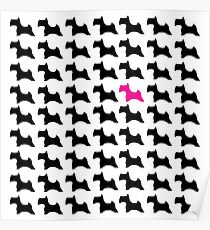 pink schnauzer Poster