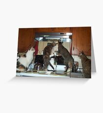 The Birds Greeting Card