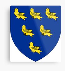 Coat of Arms of Sussex, England Metal Print