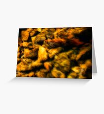 Riverbed Greeting Card