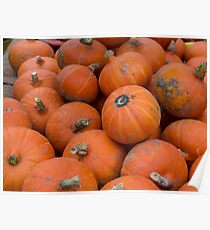 Pumpkins Poster