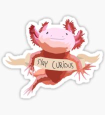 Stay Curious Axolotl Sticker