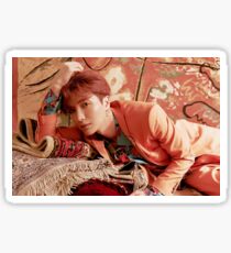 lo siento - leeteuk super junior Sticker