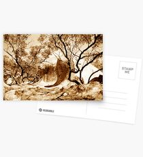 Murphys Haystacks Postcards