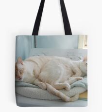 Did you bring the nip? Tote Bag