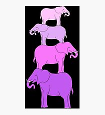 Pink Elephants Photographic Print