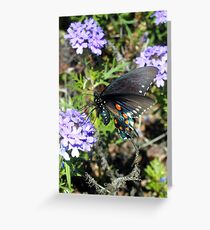 Butterfly on the Brine Greeting Card
