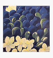 Danson Plums Photographic Print